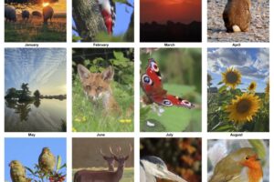 Montage With dates Montage With dates